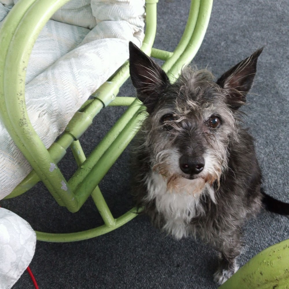 Meet your Posher, Kevin